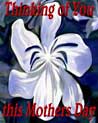 Thinking of you this Mother's Day Free Ecard
